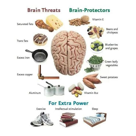 brain food images  pinterest brain food