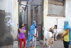 if Only Muslims Did Not Treat Women as Sacrificial Goats ,, by firoze shakir photographerno1