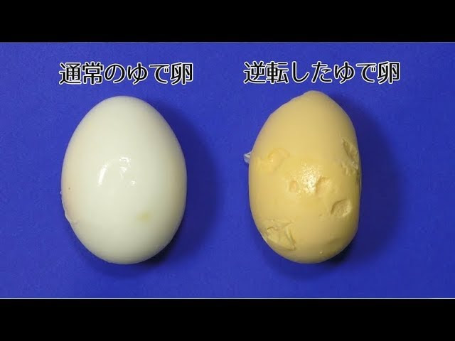 自由研究テーマ大特集 小学生の夏休みに ベネッセ教育情報サイト