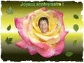 [Le plus populaire! ] fleur joyeux anniversaire brigitte 280753