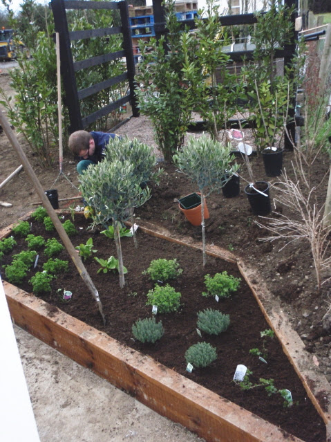Herb Garden Design Plants Photograph | Peter Donegan, Landsc