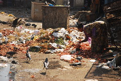 This Is My World I Am a Bit of Garbage Too.. by firoze shakir photographerno1