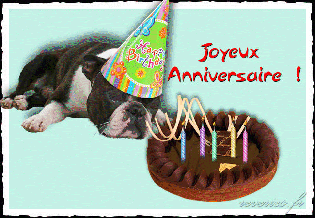 Bouledogue Devant Un Gateau Joyeux Anniversaire