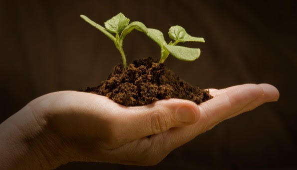 Image result for sustainable agriculture