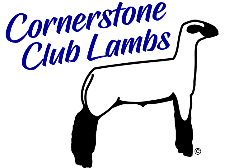 Free Free 230 Lion Not Sheep Svg SVG PNG EPS DXF File