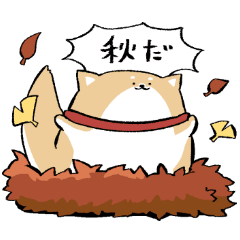 庭猫もるさんが作成したスタンプ一覧 Lineスタンプマニア クリエイターズスタンプ