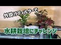 外 付け フィルター 273120-外付けフィルター 02613