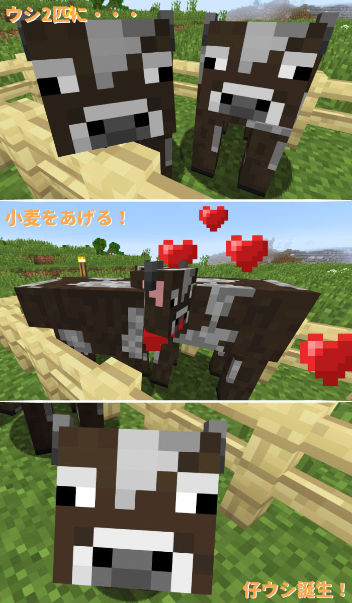 マインクラフトpc Pe 牛の入手方法と繁殖の仕方 ステーキの効果について マイクラモール