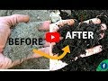 Mulch more health in plants and soils for less work
