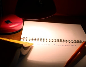how to write an exemplification essay articles