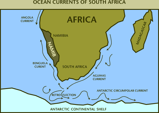 Prevailing Winds in Southern Africa - Free ZIMSEC Revision Notes and