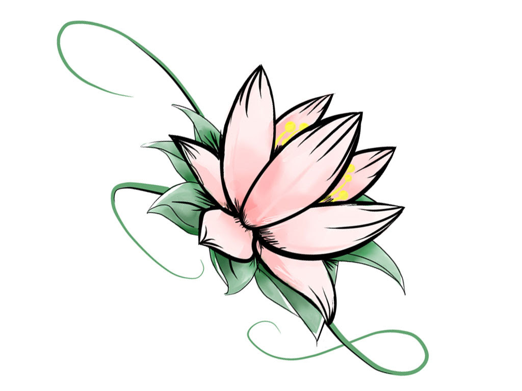 Free Lotus Drawing, Download Free Clip Art, Free Clip Art on Clipart Library