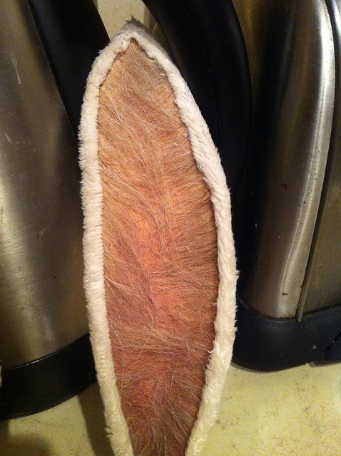 Finished ears