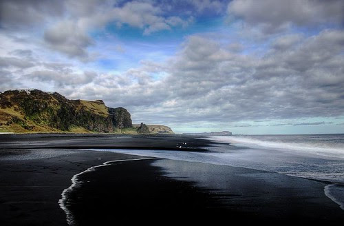 florida beaches with palm trees. No palm trees and warm weather
