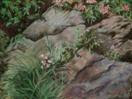 'Signs of Spring'