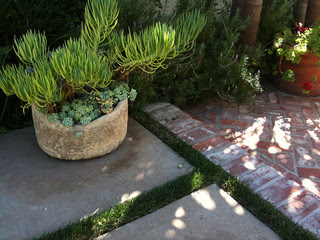 planting, concrete + brick eclectic exterior