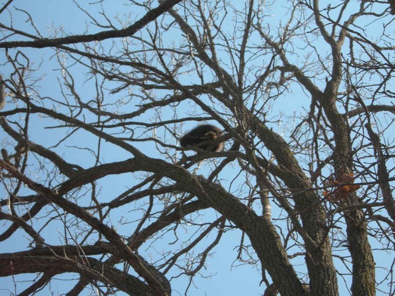 DSCN3447.JPG