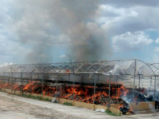 Princípio de incêndio foi registrado no início da tarde desta quinta-feira (3), em Mossoró (Foto: Nilsin Ferreira/ Passando na Hora)
