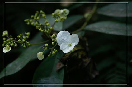 PICT6828