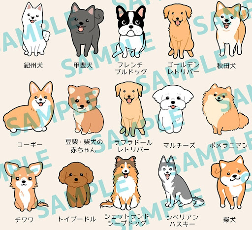 イメージ