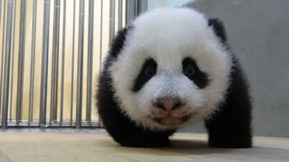 不要嘴砲不要偽善 Nanako的小小格子 隨意窩xuite日誌