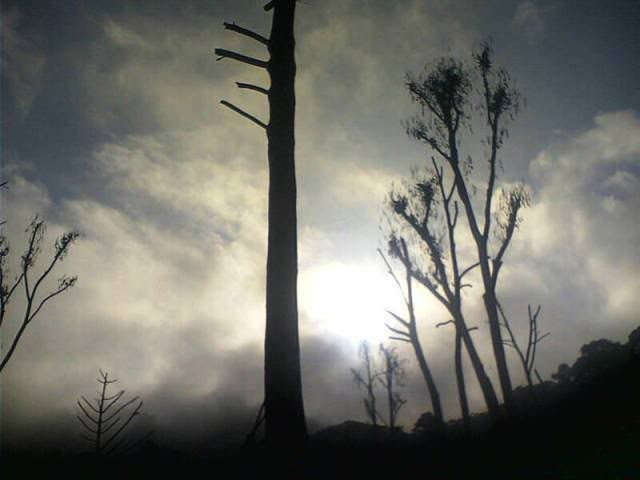 dawn