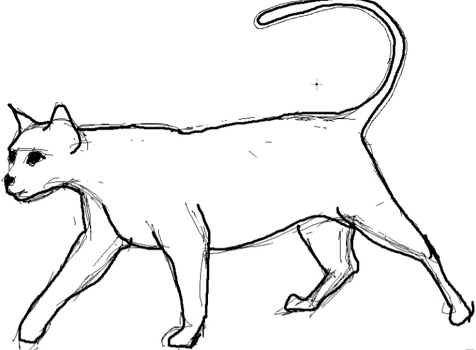 Comment Dessiner Un Chat Apprendre A Dessiner