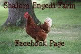 Like My Facebook Page