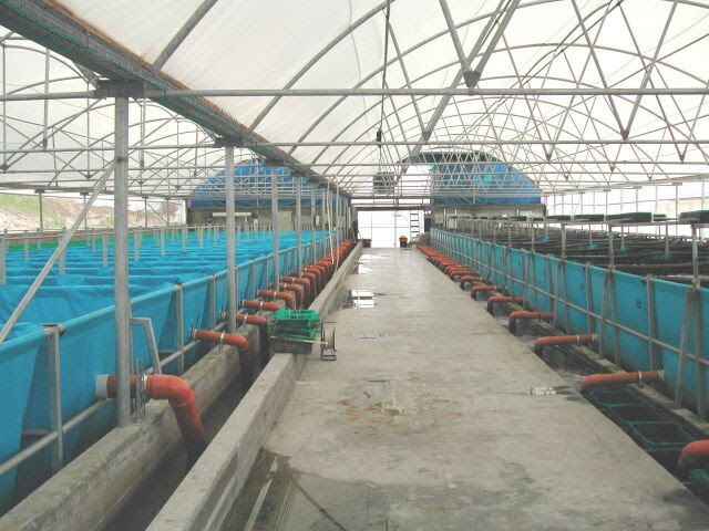 Fish farming