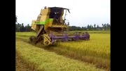 Terbaru 33+ Mesin Padi