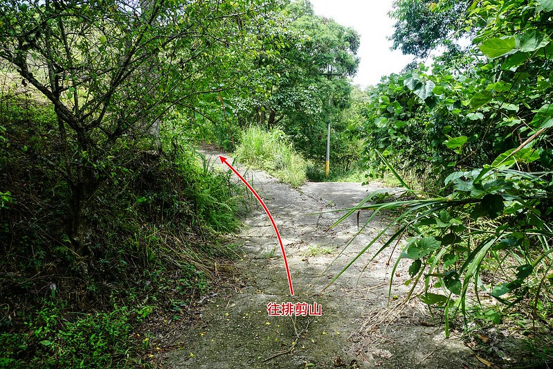 DSC07737
