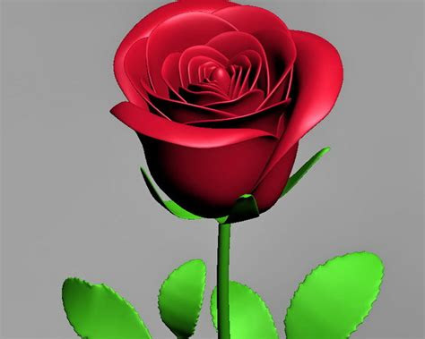 red rose flower  model ds max files