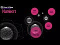 NUMBERS, DATES, & TIME