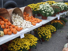 Farmer's Market