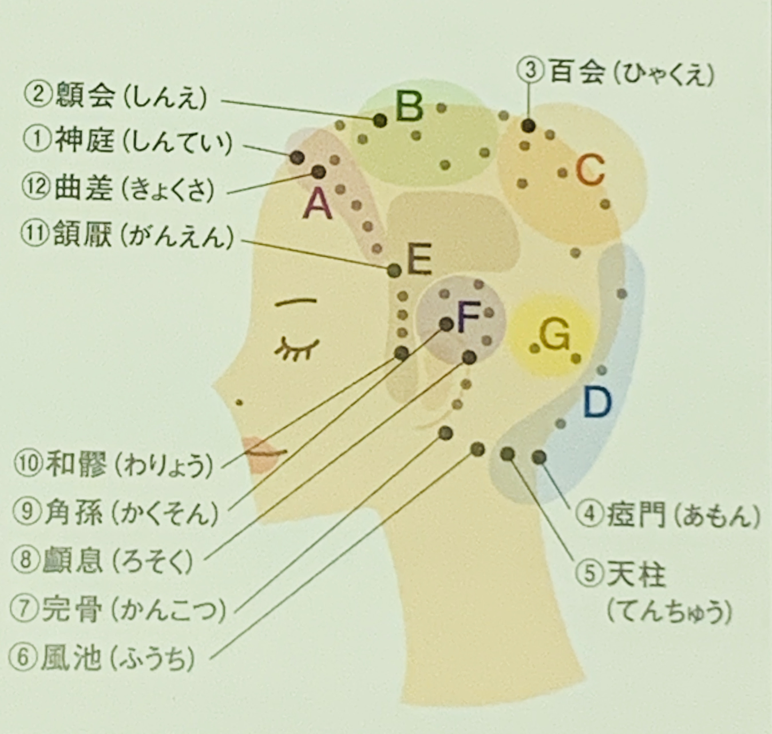 これが分かればお家でのケアも楽しくなる ヘッドスパのツボ押し 効果をご紹介 Prosol五日市店