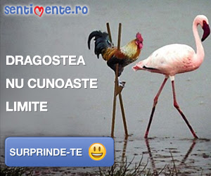 Sentimente.ro