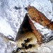 torta alla liquirizia