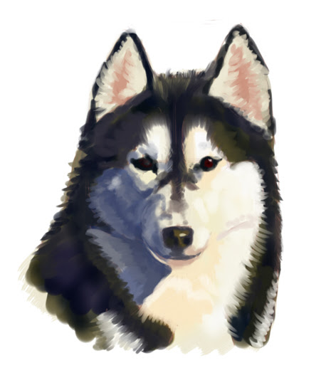 無料ダウンロードかっこいい ハスキー 犬 イラスト