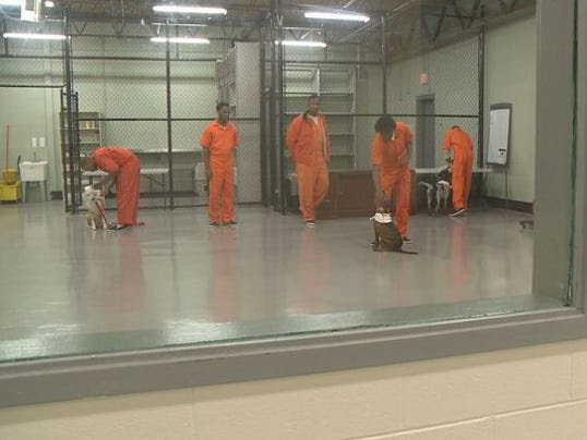Who rescues whom in this prison dog training program?