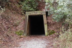 Enter at Your Own Risk