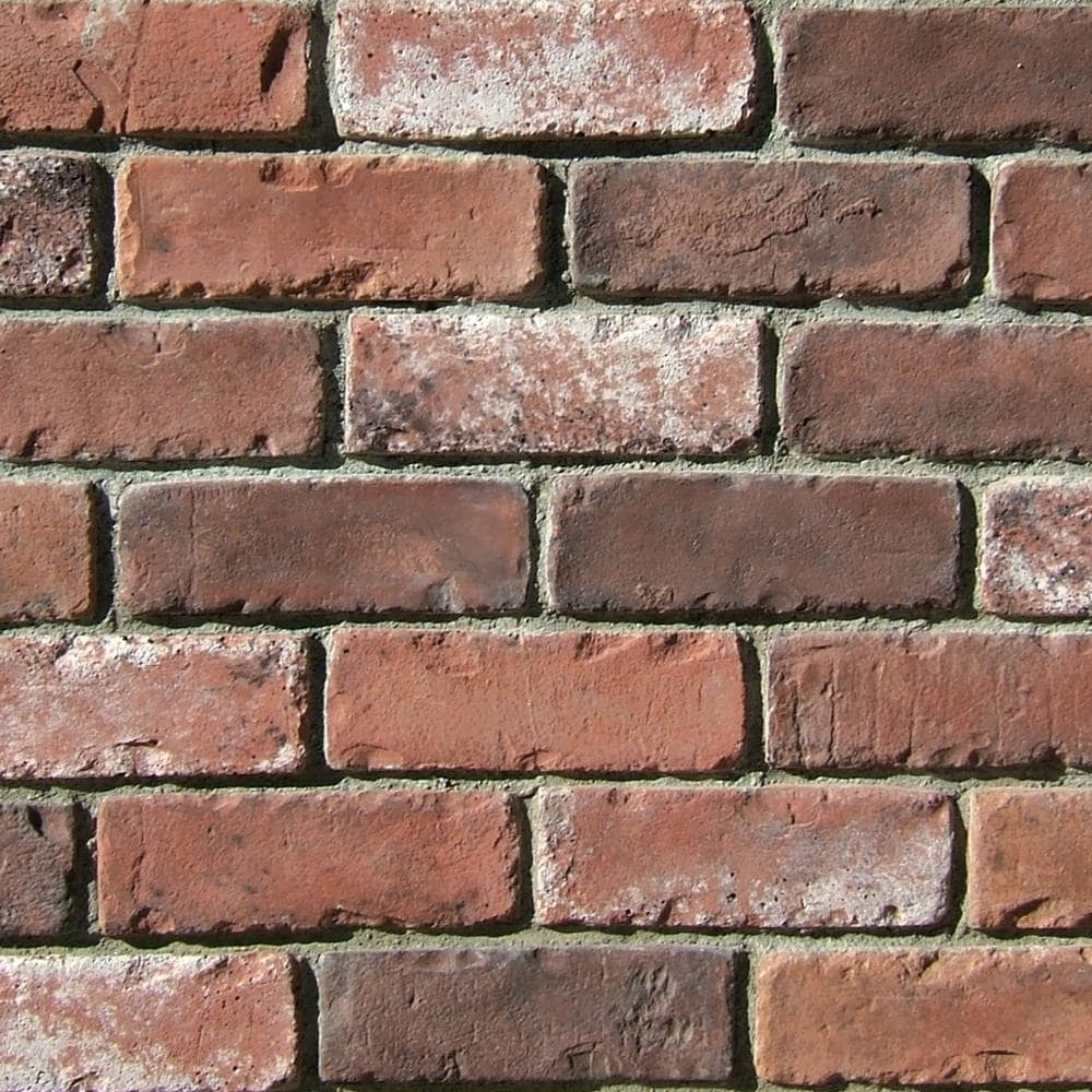 Coronado Stone Products Special Used Brick 10 Pack 2 5 In X 8 In Rustic Blend Outside Corner Brick Veneer Trim At Lowes Com