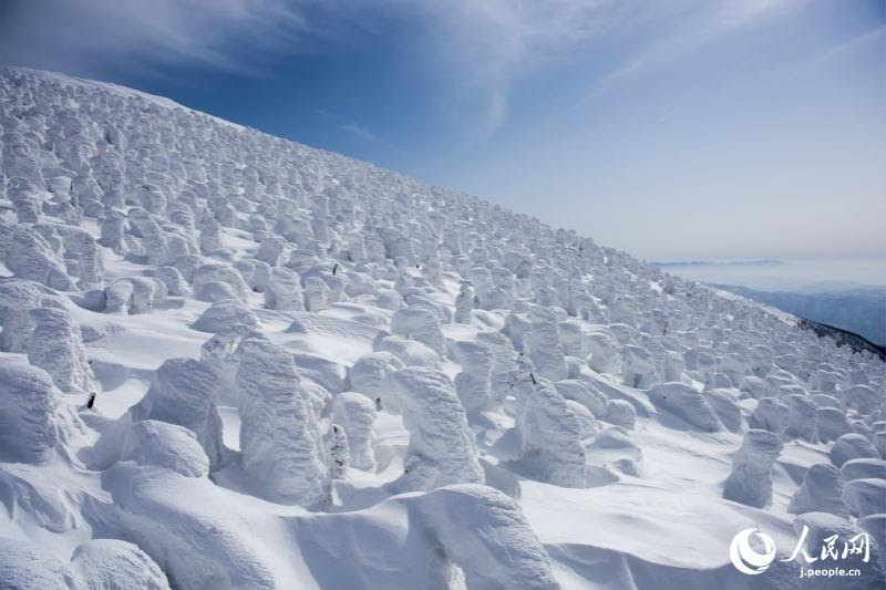 最上部に広がる美しい樹氷原 山形県山形市の蔵王温泉スキー場 人民網日本語版 人民日報