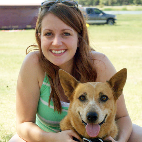 犬はどこまで飼い主の言葉の意味を理解しているの 犬の総合情報サイト ペットスマイルニュースforワンちゃん