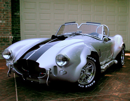 Cool Cobra Picture