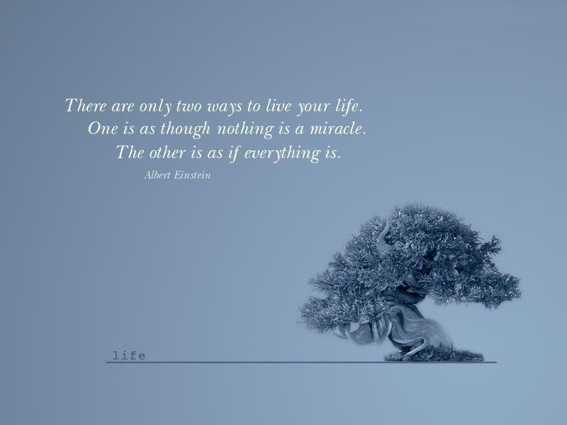 funny philosophy quotes. philosophy quotes. funny philosophical quotes. funny philosophical quotes. Lynxpro. Jul 27, 04:23 PM