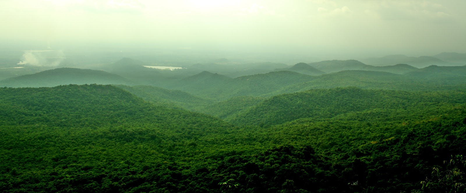 hills wild sanctuary - Images WorthvieW
