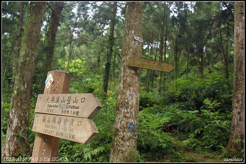 DSC01805