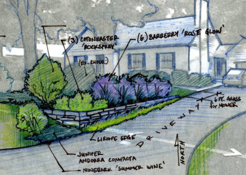 driveway planting