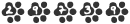 Website Traffic Tracking