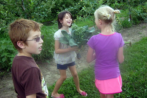 Kids in the Garden Week 7